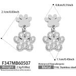 color: F347-Steel Color Earrings