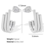 color: EH481 Silver Earrings
