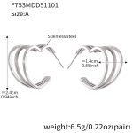 color: F753-A Style Steel Color Earrings