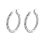 color: 1 Twisted Wire Earrings Steel Color MS-021