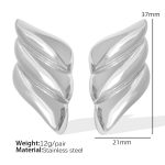 color: EH254 Silver Earrings