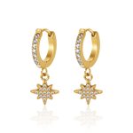 color: -10 Hanging Big Star Earrings