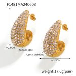 color: F1481-Gold Earrings