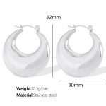 color: EH24 Silver Earrings