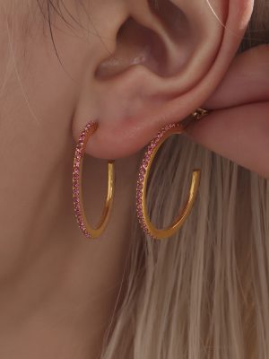 French Fine Ins Stainless Steel Earrings Studded with Zircon Light Luxury Personalized Temperament Earrings