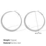 color: EH02S4CM Silver Earrings