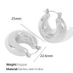 color: EH602 Steel Color Earrings