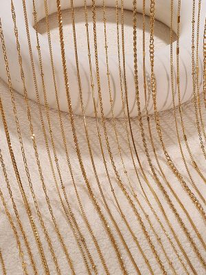 Versatile and Diverse Necklace Snake Bone Embossed Chain Style Necklace Hemp Stainless Steel 18K Gold Plating Personality Female