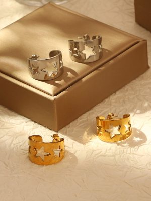 New Series Stainless Steel 18K Earrings Hollow Stars Curved Ring Earrings Personalized Design Female