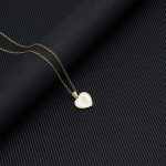 color: Shell -F (With Chain)