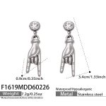 color: F1619-Steel Color Earrings