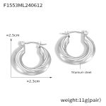 color: F1553-Steel Color Earrings