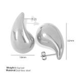 color: EH232 Large Silver Earrings
