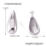 color: F1463-Steel Color Earrings