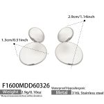 color: F1600-Steel Color Earrings