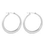 color: F1170-Steel Color Earrings