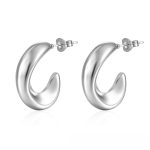 color: Irregular C Shape Earrings Steel Color MS-018