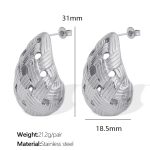 color: EH63 Silver Earrings