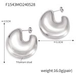 color: F1543-Steel Color Earrings